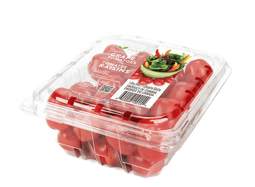Tomate raisin sucrée - Suncoast