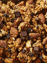 Charger l'image dans la galerie, Grand granola aphrodisiaque fourmis bionique
