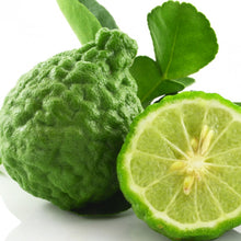 Charger l'image dans la galerie, Huile essentielle zeste de bergamote