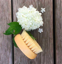 Charger l'image dans la galerie, Brosse à fruits et légumes