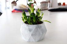 Charger l'image dans la galerie, Gros pot de fleur géo en béton