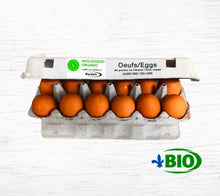 Charger l'image dans la galerie, Oeuf biologique