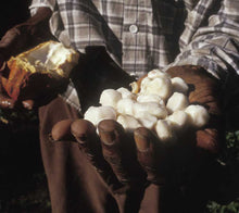 Charger l'image dans la galerie, Tablette de chocolat umano