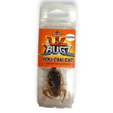 Charger l'image dans la galerie, Lil bugz scorpion
