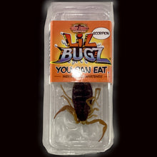 Charger l'image dans la galerie, Lil bugz scorpion
