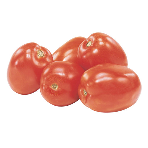 Tomate italienne roma
