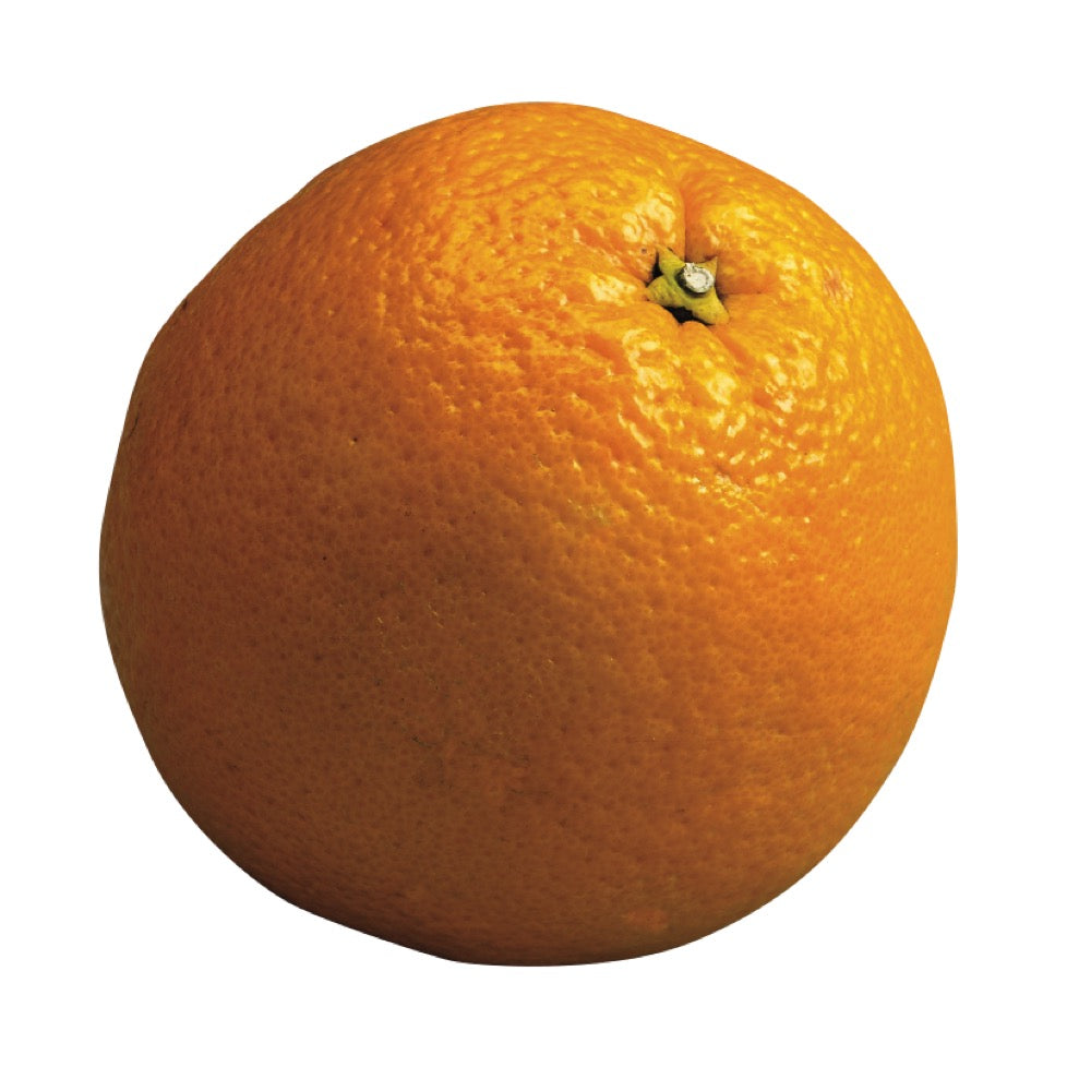 Orange navel sans pépins