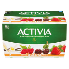 Charger l&#39;image dans la galerie, Yogourt Danone activia - Danone

