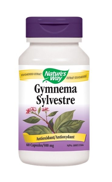 Gymnena sylvestre - Nature’s Way