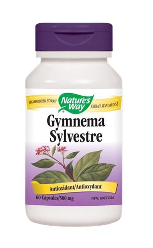 Gymnena sylvestre - Nature’s Way