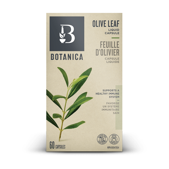 Feuille d’olivier favorise un système immunitaire sain - Botanica