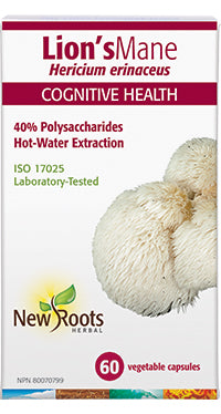 Hydne hérisson - New Roots Herbal