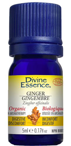 Divine essence, extrait d'huile essentielle gingembre bio - Divine essence