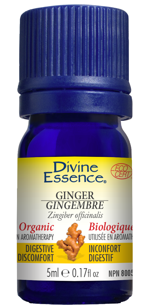 Divine essence, extrait d'huile essentielle gingembre bio - Divine essence