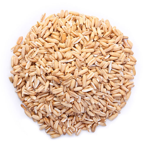 Gruau d'avoine biologique 