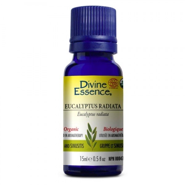 Divine essence, extrait d'huile essentielle eucalyptus bio - Divine essence