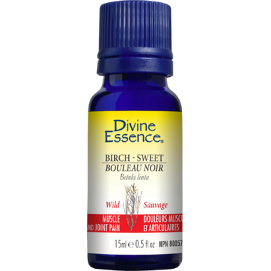 Divine essence, extrait d'huile essentielle bouleau noir sauvage bio - Divine essence