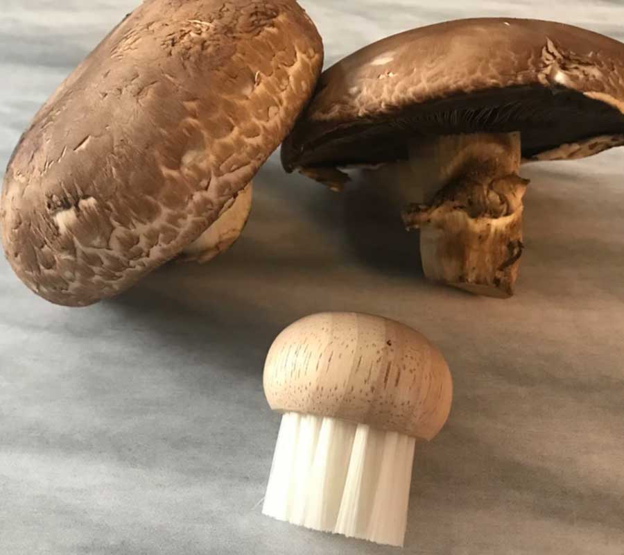 Brosse à champignons en bois