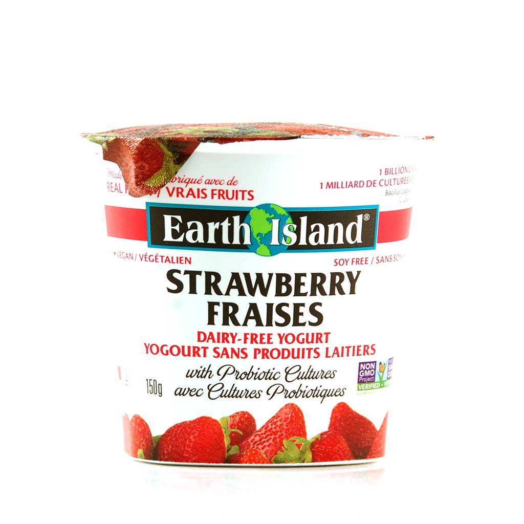 Yogourt sans produits laitiers avec cultures probiotiques aux fraises (sans soya) - Earth Island