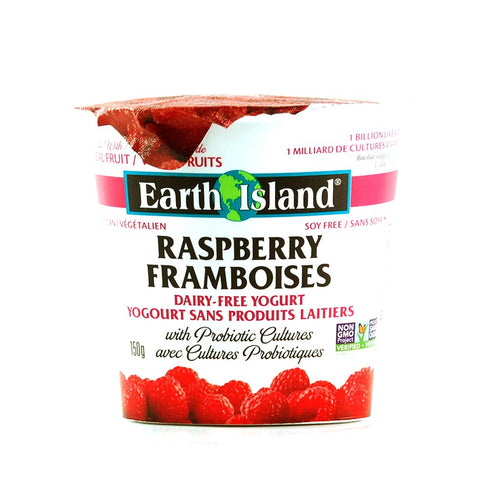 Yogourt sans produits laitiers avec cultures probiotiques aux framboises (sans soya) - Earth Island