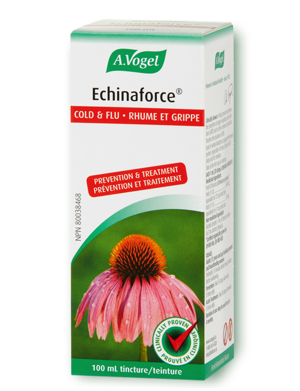Echinaforce - Traitement contre le rhume et la grippe (teincture) - A. Vogel