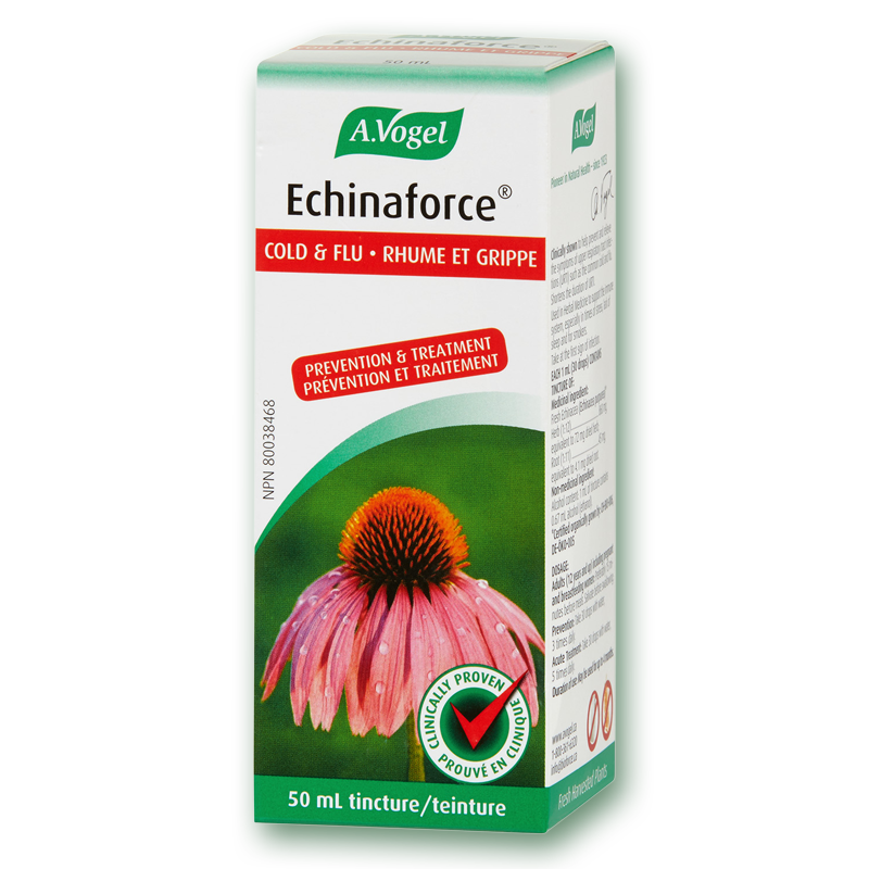 Echinaforce - Traitement contre le rhume et la grippe (teincture) - A. Vogel