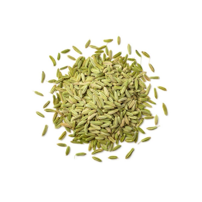 Graines de fenouil 