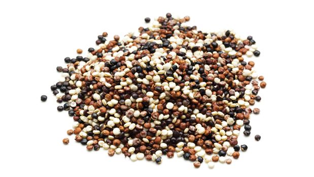 Quinoa royal tricolore biologique