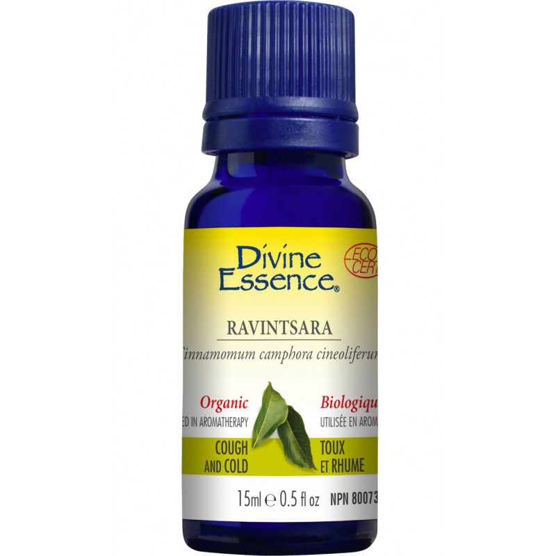 Divine essence, extrait d'huile essentielle ravintsara  bio - Divine essence