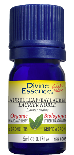 Divine essence, extrait d'huile essentielle laurier noble bio - Divine essence