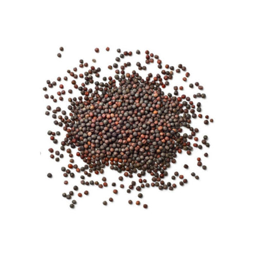 Graine de moutarde brunes biologique 