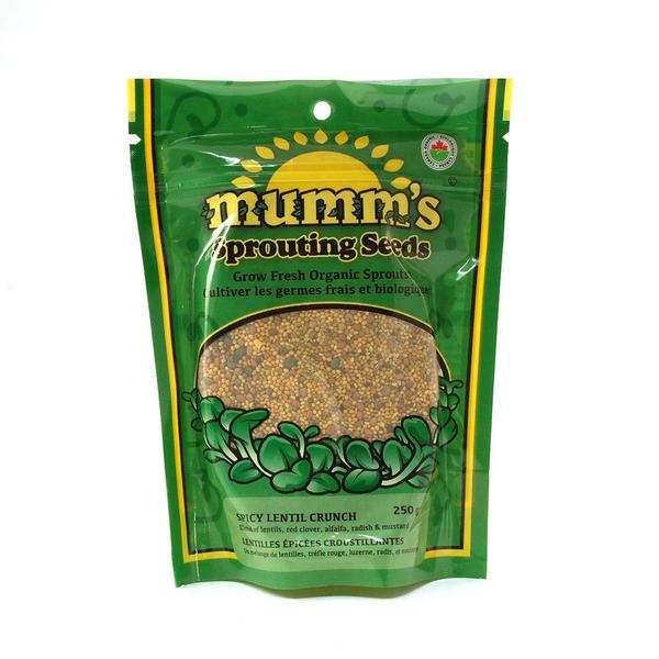 Graines de lentilles épicées croustillantes - Mumm’s sprouting seeds
