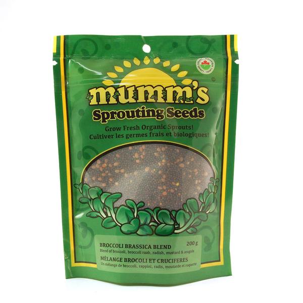 Mélange de graines de brocoli et cruciferes - Mumm’s sprouting seeds