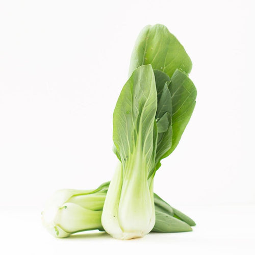 Bok choy bébé