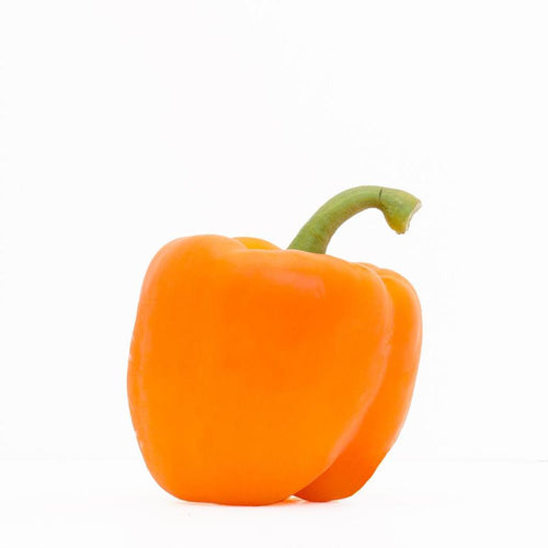 Poivron orange bio