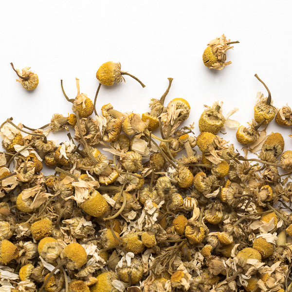 Tisane camomille bio caméllia sinensis